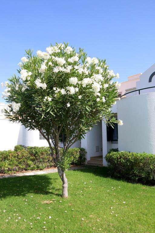 Cabana Da Ria Cabanas De Tavira Zewnętrze zdjęcie